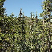 Picture 034